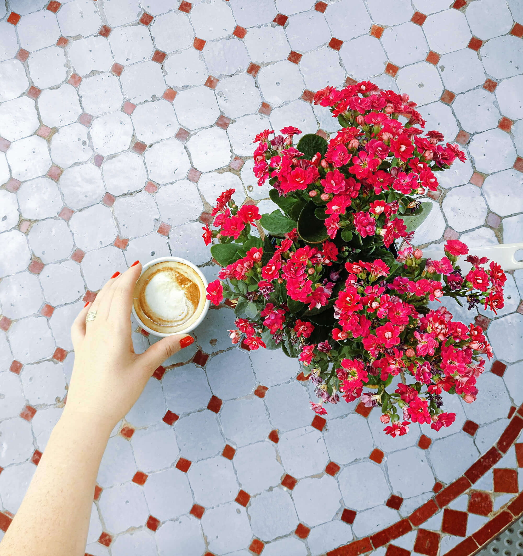 קפה ופרחים אדומים. 