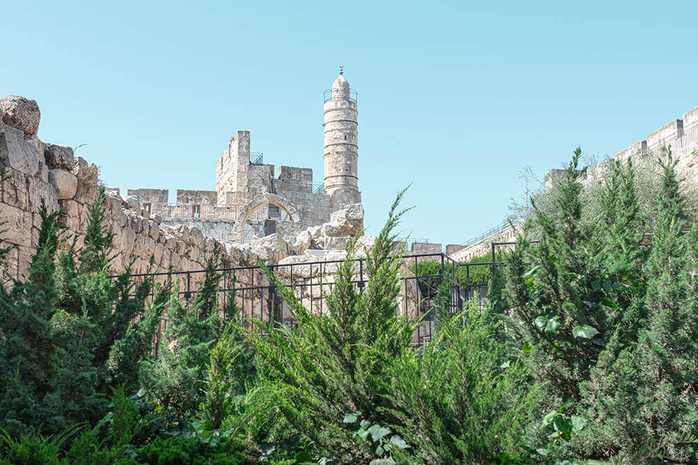 מוזיאון ופארק חבלים במגדל דוד