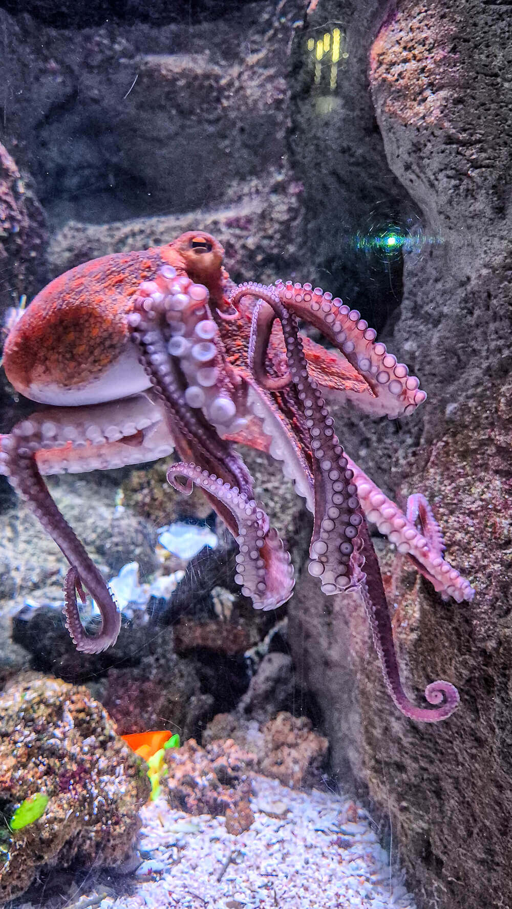 פריז עם מתבגרים