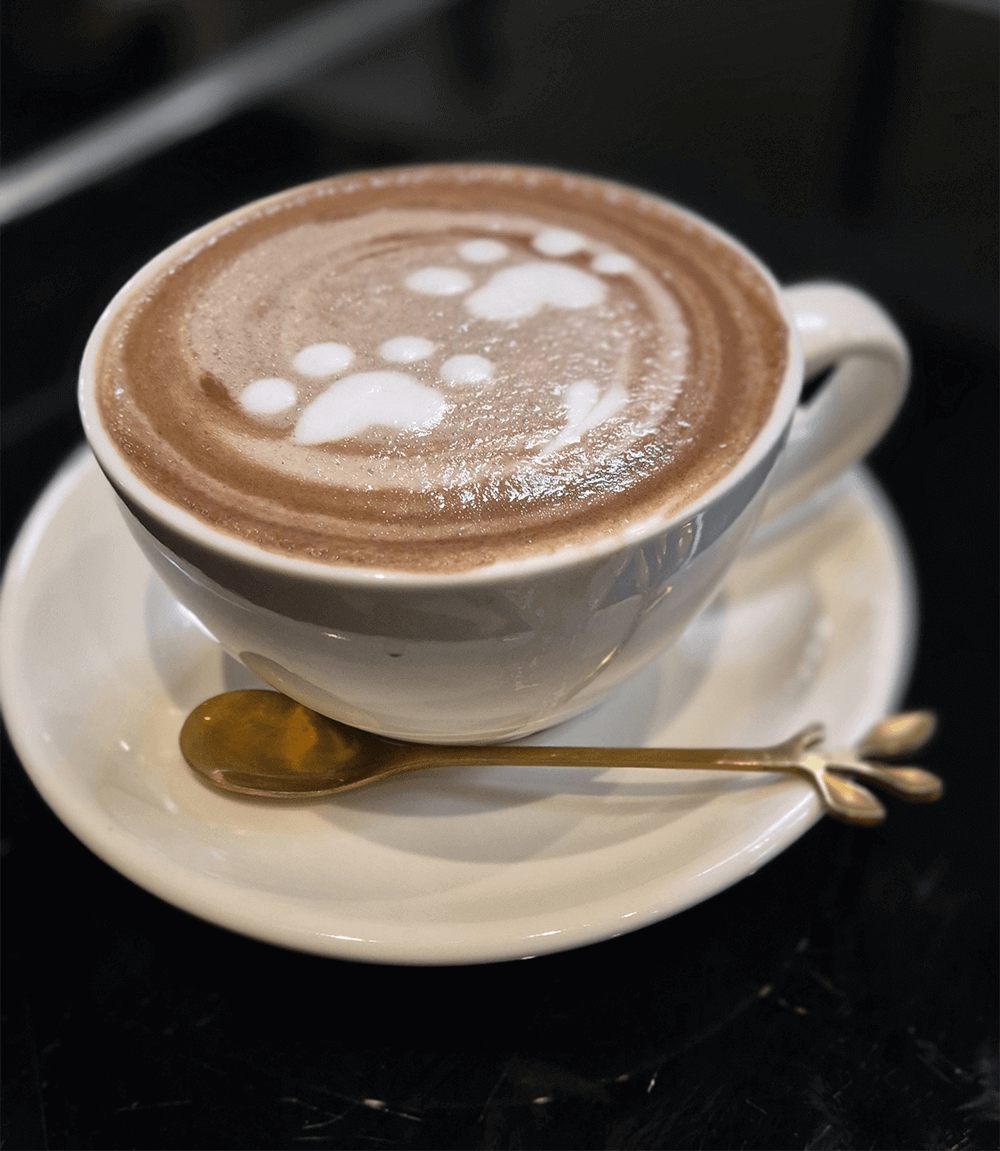 קפה long&tea פריז